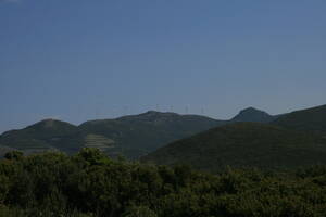 img_3768.jpg